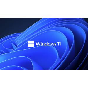 Windows 11