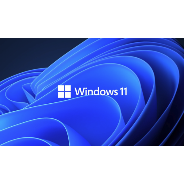 Windows 11