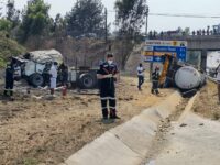 William Nicol Crash
