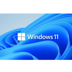 Windows 11
