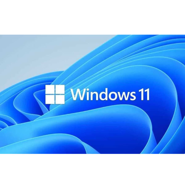 Windows 11