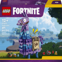 Fortnite set
