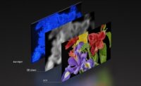 Sony RGB